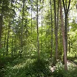 In