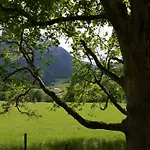 Apartmán In *